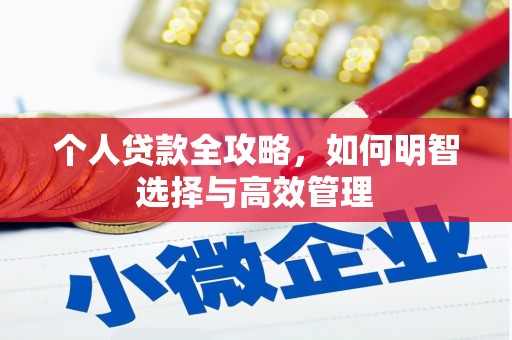 海安个人贷款全攻略，如何明智选择与高效管理