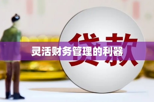 海安灵活财务管理的利器