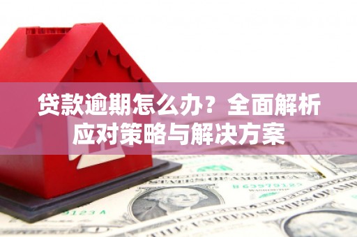 海安贷款逾期怎么办？全面解析应对策略与解决方案