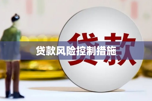 海安贷款风险控制措施