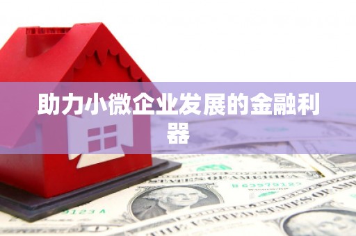 海安助力小微企业发展的金融利器