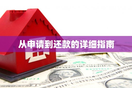 海安从申请到还款的详细指南