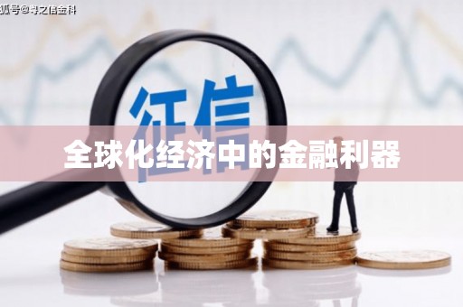 海安全球化经济中的金融利器