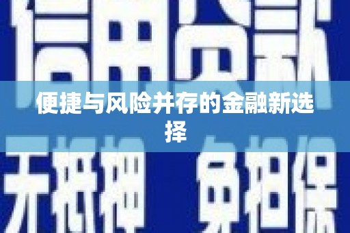 海安便捷与风险并存的金融新选择