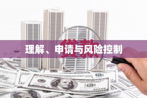 海安理解、申请与风险控制