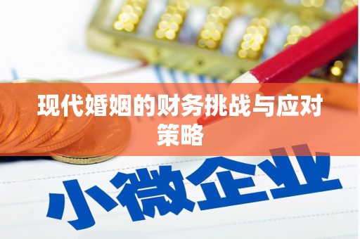 海安现代婚姻的财务挑战与应对策略
