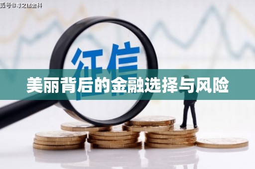 海安美丽背后的金融选择与风险