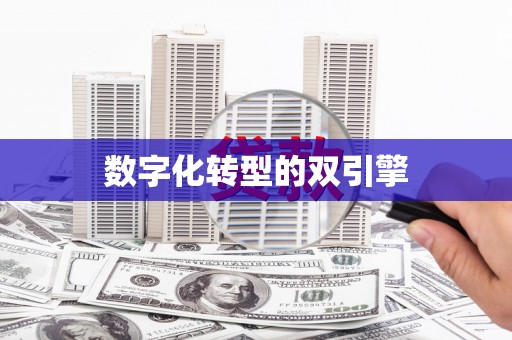 海安数字化转型的双引擎