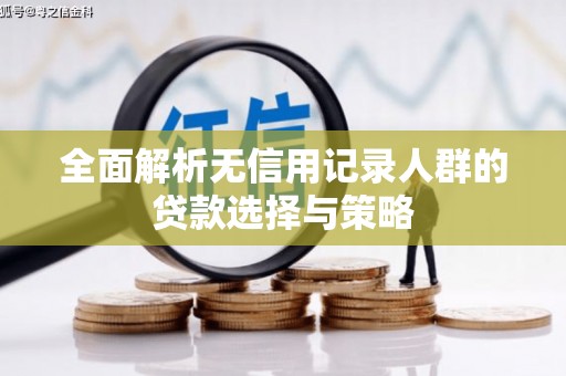 海安全面解析无信用记录人群的贷款选择与策略
