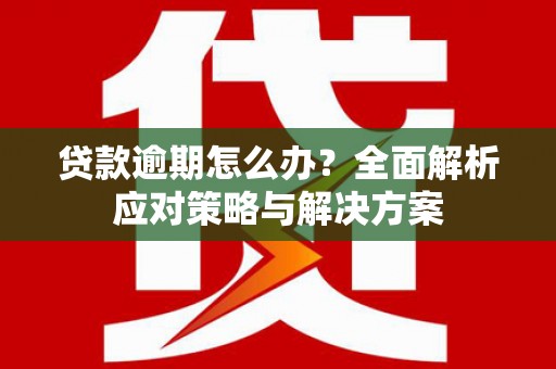 海安贷款逾期怎么办？全面解析应对策略与解决方案