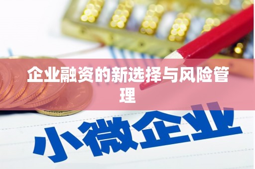 海安企业融资的新选择与风险管理