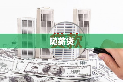 海安随薪贷