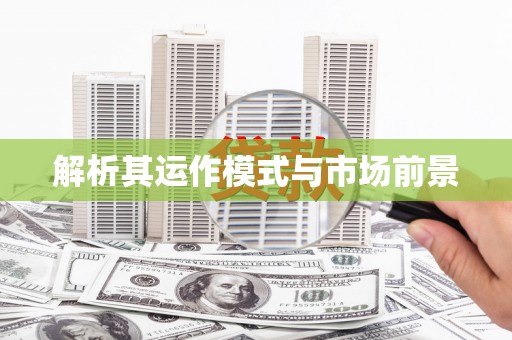 海安解析其运作模式与市场前景