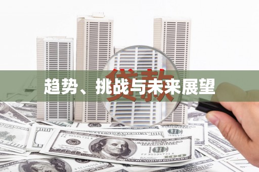 海安趋势、挑战与未来展望