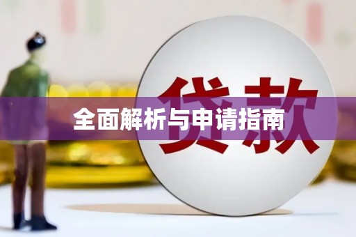 海安全面解析与申请指南