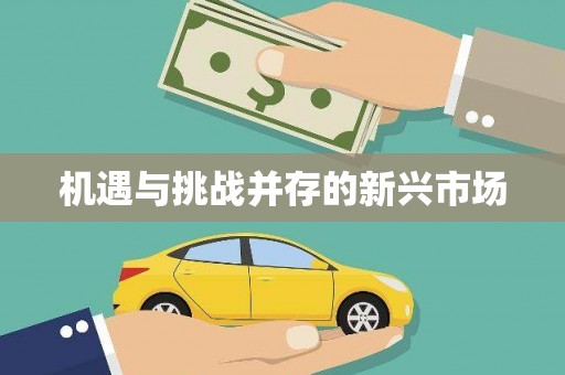 海安机遇与挑战并存的新兴市场