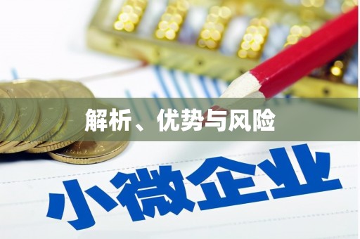 海安解析、优势与风险