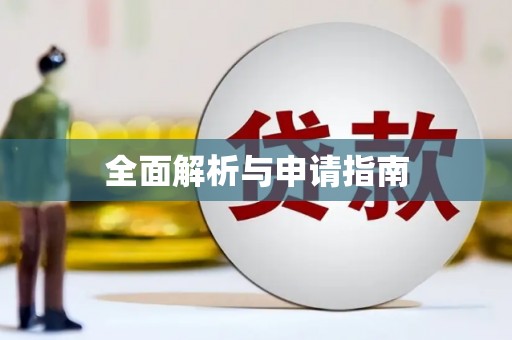 海安全面解析与申请指南
