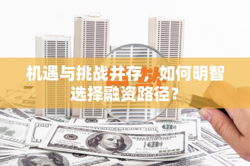 海安机遇与挑战并存，如何明智选择融资路径？