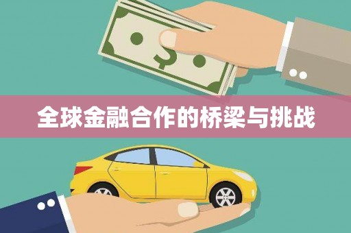 海安全球金融合作的桥梁与挑战