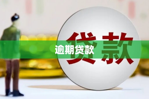 海安逾期贷款