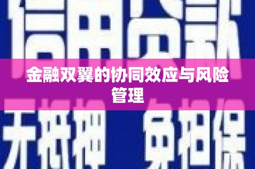 海安金融双翼的协同效应与风险管理