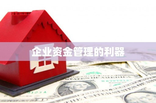 海安企业资金管理的利器