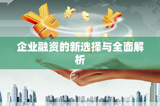 海安企业融资的新选择与全面解析