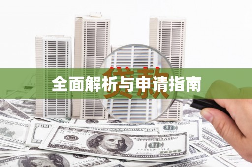 海安全面解析与申请指南
