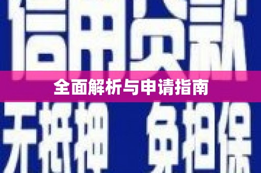 海安全面解析与申请指南