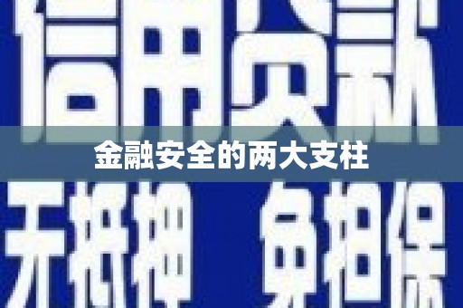 海安金融安全的两大支柱
