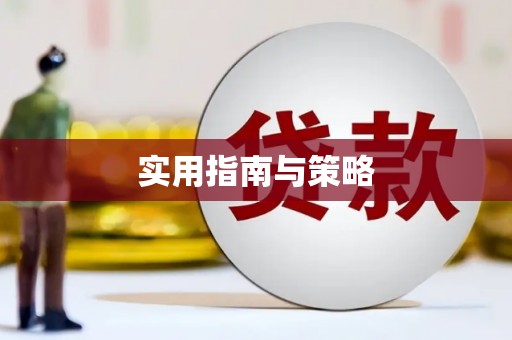 海安实用指南与策略
