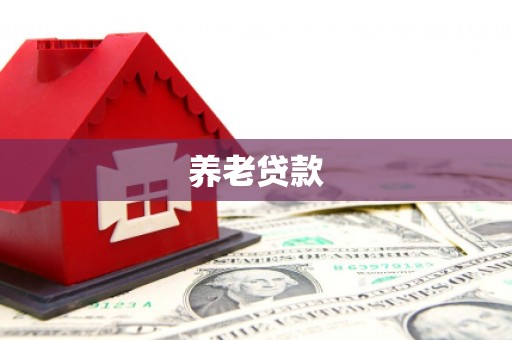 海安养老贷款
