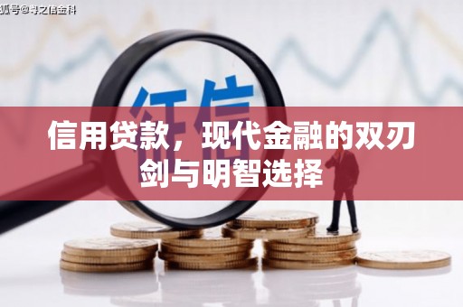 海安信用贷款，现代金融的双刃剑与明智选择