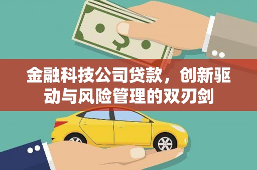 海安金融科技公司贷款，创新驱动与风险管理的双刃剑