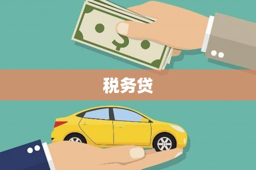 海安税务贷