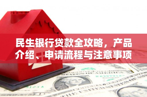海安民生银行贷款全攻略，产品介绍、申请流程与注意事项